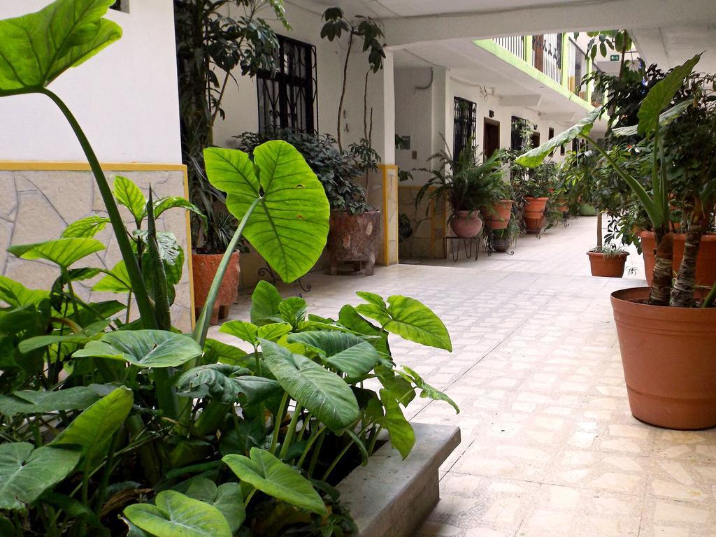 Hotel Posada Las Casas San Cristóbal de Las Casas Zewnętrze zdjęcie